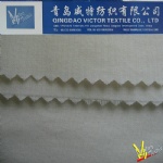 Poplin Fabric