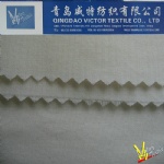 Poplin Fabric